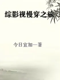 综影视慢穿之旅