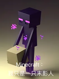 MC：我只是一只末影人