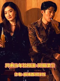 只谢当年恰相逢：凤凰涅槃
