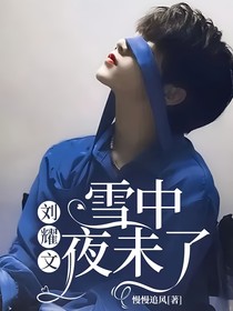 刘耀文：雪中夜未了