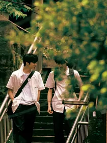 偷藏一束花
