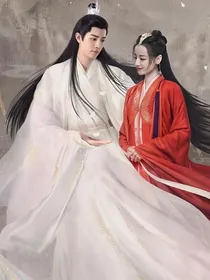 综影视：命中注定此情长