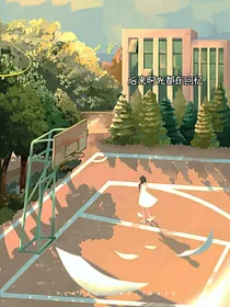 后来时光都在回忆