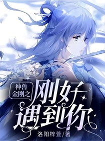 神兽金刚之刚好遇到了你