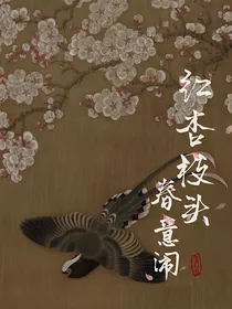 田柾国：红杏枝头春意闹