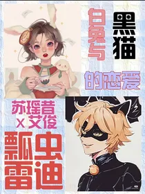 瓢虫雷迪：白兔与黑猫的恋爱