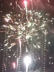 水果知识