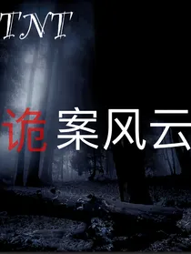 TNT诡案风云