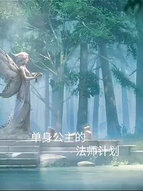 单身公主的法师计划