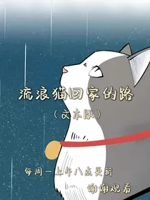 流浪猫回家的路（文本）