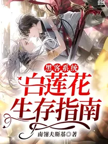 黑客系统：白莲花生存指南