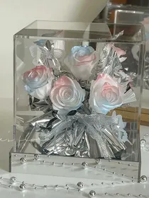 晚风杂货铺wa