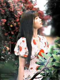 TNT：从现在开始-d224