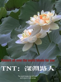 TNT：深渊的路人