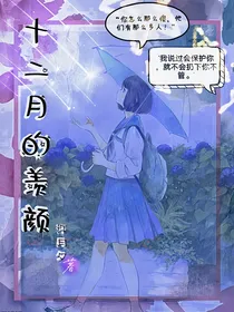 十二月的羡颜