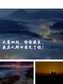 雾淡情忘集