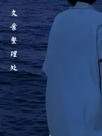 文案整理处
