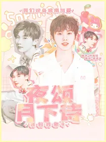 我们的歌4：夜颂月下诗