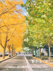 银杏与梧桐