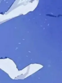 花苟