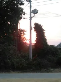 小宇家族背叛