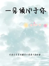 一见倾心于你