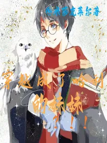 穿越成了哈利的妹妹