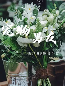 宠物（全三季）