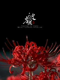彼岸尘缘