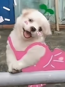 文案——文案