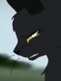 猫武士穿越凹凸世界
