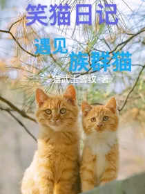 笑猫日记—遇见族群猫