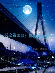 羽之冒险队：羽寂亦无声