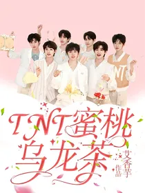 TNT蜜桃乌龙茶