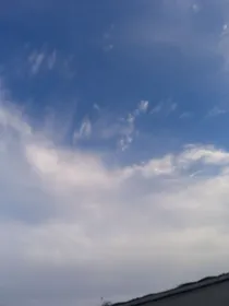全明星：末日乐园