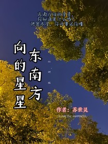 东南方向的星星