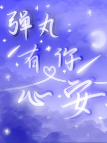 弹丸：有你心安