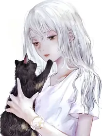 猫武士：拟人后的那些事
