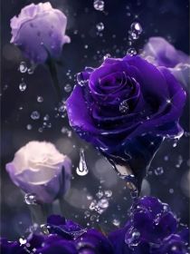 紫精灵梦叶罗丽