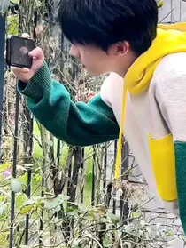 是你，永远都是你