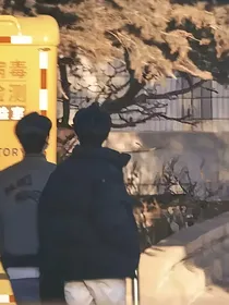 西巷落樱