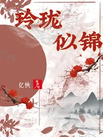 玲珑似锦