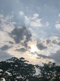 左不过爱你罢了