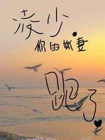 凌少……你娇妻跑了