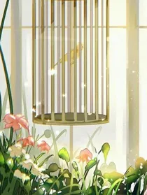 死亡规则