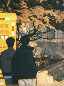 忘晟归晏