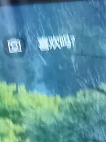 ——未闻花开