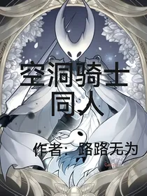 空洞骑士同人