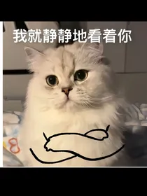 雾都爱情