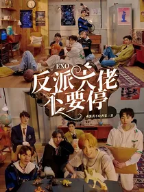 EXO：反派大佬不要停